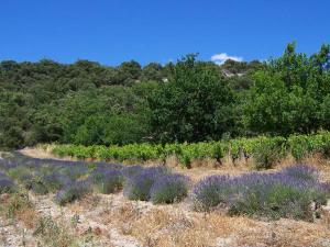 Afbeelding uit fotogalerij van Dom L' Argo in Reillanne +37 foto's