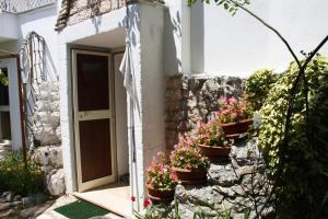 Zahrada ubytování Mini suite alla Cascata