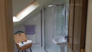 康镇Whitethorn Lodge, Bed & Breakfast, Lackafinna的带淋浴和水槽的浴室