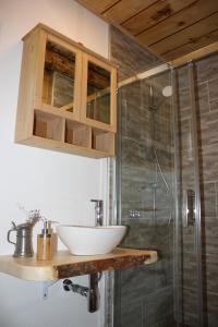 a bathroom with a sink and a shower at Blockhütte Radmer in Radmer an der Hasel +44 photos