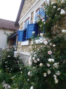 un edificio con persianas azules y un arbusto de rosas en Casa Anca Cheile Nerei, en Socolari