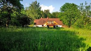 ein Haus inmitten eines Grasfeldes in der Unterkunft Forest Romantic Apartment Brdy in Věšín