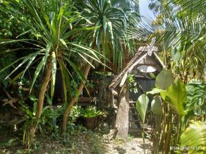 Aed väljaspool majutusasutust Baan Suan Jantra Home Stay