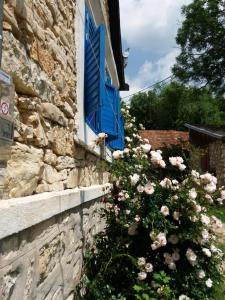 a building with a blue window and flowers at Casa Anca Cheile Nerei in Socolari