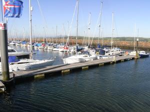 a group of boats docked at a dock in the water at Noddsdale Estate in Largs