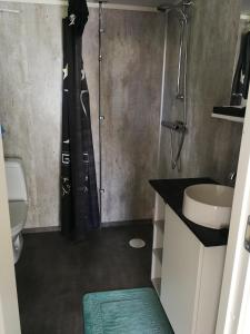 W łazience znajduje się prysznic, umywalka i toaleta. w obiekcie 25 kvadrat 25 minuter från Åre w mieście Järpen