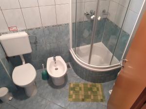 y baño con aseo, ducha y lavamanos. en Apartments Aria en Stari Grad