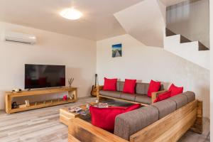ein Wohnzimmer mit einem Sofa und einem TV in der Unterkunft Villa Luka in Brtonigla