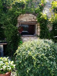 Gallery image of La Casetta in Trevi