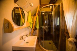 a bathroom with a shower and a sink and a mirror at Grenlanda in Ulanów