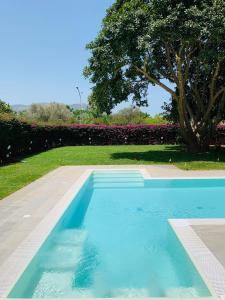 una piscina blu con un albero e fiori di Il Giardino di Venere a Mondello