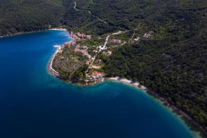 an aerial view of a small island in the water at Apartments and rooms Roberto B. in Valun
