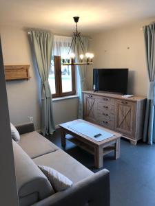 Una sala de estar con un sofá y un televisor. en Homole Apartament LUX, en Szlachtowa