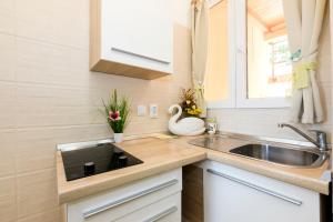 a kitchen with a sink and a swan on the counter at Apartments and rooms Roberto B. in Valun