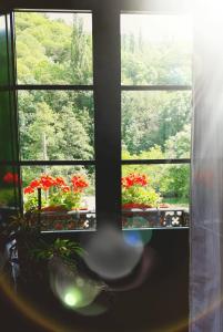 A garden outside Casa Licerio