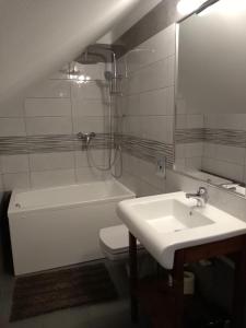 a bathroom with a sink and a toilet and a shower at Vila Confort in Borşa +40 photos