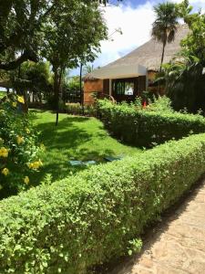 Giardino di Hotel Dos Playas Faranda Cancún