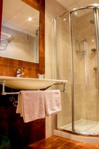 a bathroom with a shower and a sink at Hotel Mabú in Ourense