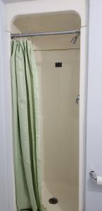 a shower with a green shower curtain in a bathroom at Niagara Inn in Niagara Falls
