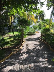 Zahrada ubytování Hotel Maya Caribe Faranda Cancún