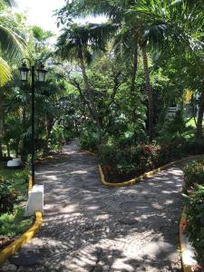 Zahrada ubytování Hotel Maya Caribe Faranda Cancún