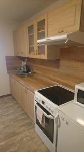 Kuchyň nebo kuchyňský kout v ubytování Business apartmán