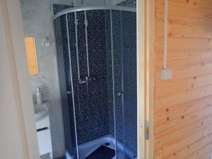 a shower with a glass door in a bathroom at Casa de Oaspeti Dunarea la Cazane in Dubova