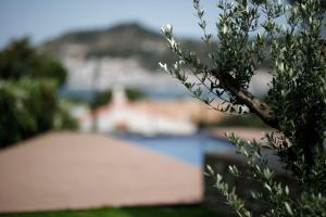 Táj Show holiday homes közelében