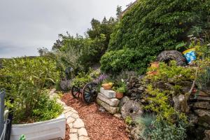 a garden with plants and flowers in a yard at Apartments and rooms Roberto B. in Valun