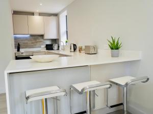 Η κουζίνα ή μικρή κουζίνα στο Beautiful AlumPointe Apartment - 400m to the beach +10 φωτογραφίες