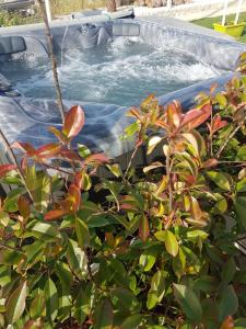 Foto dalla galleria di Bed & Breakfast del Faro a Giovinazzo