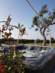 una bañera de hidromasaje con un árbol en el fondo en Bed & Breakfast del Faro en Giovinazzo