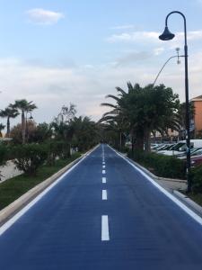 une route vide avec des palmiers et un feu de rue dans l'établissement apartmentsIT via Verona 16, à Alba Adriatica