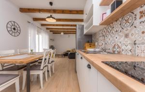 Kuchyňa alebo kuchynka v ubytovaní Holiday house Barba - Vrana