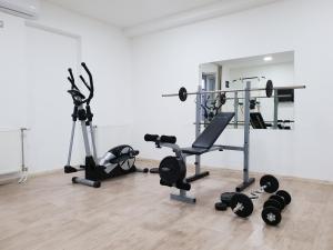 a gym with two treadmills and two exercise bikes at Garni Hotel Niš City View in Niš