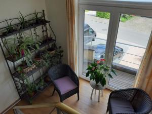 Aed väljaspool majutusasutust COSY B&B 2B