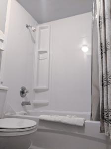 a white bathroom with a toilet and a shower at Skyline Motel in Fredericton