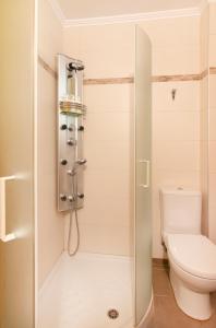 a bathroom with a shower with a toilet at VV Luxury Experience in Fourka +53 photos