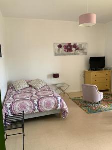 a bedroom with a bed and a dresser and a tv at Studio coeur historique Albigeois in Albi