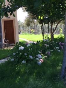 einen Garten mit Blumen vor einem Haus in der Unterkunft Samothraki Suites Kalisti in Xiropótamos