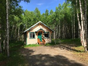 una pequeña cabaña en medio de un bosque en Talkeetna Mount Dall Cottage with WiFi&laundry, en Talkeetna