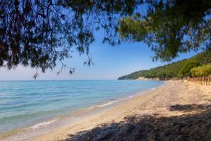 Photo de la galerie de l'établissement VV Luxury Experience, à Fourka