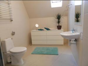 Kúpeľňa v ubytovaní Apartamenty Skaldowie + 15 fotografií