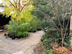 a garden area with plants and a bench at Crown Bendigo CBD Motel in Bendigo