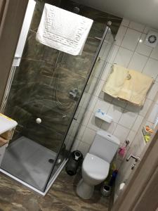 a small bathroom with a shower and a toilet at Zur alten Schule in Meerane