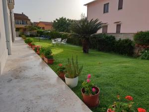 una fila di piante in vaso in un cortile con una casa di Villa Alberta Hotel a Pula