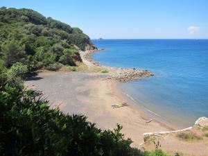 a view of a beach with trees and the ocean at B&B Capo Pero in Rio Marina