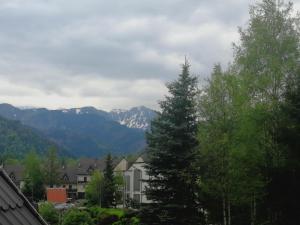 Príroda v okolí apartmánu