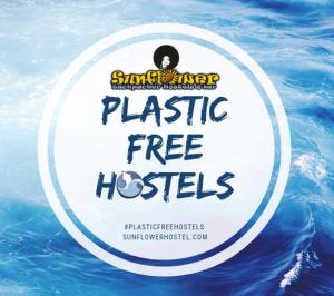 Certifikát, hodnocení, plakát nebo jiný dokument vystavený v ubytování Sunflower Beach Backpacker Hostel & Bar