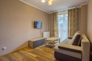 Televízia a/alebo spoločenská miestnosť v ubytovaní Apartament Diana